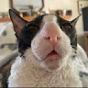 Meet your Posher, Ulises